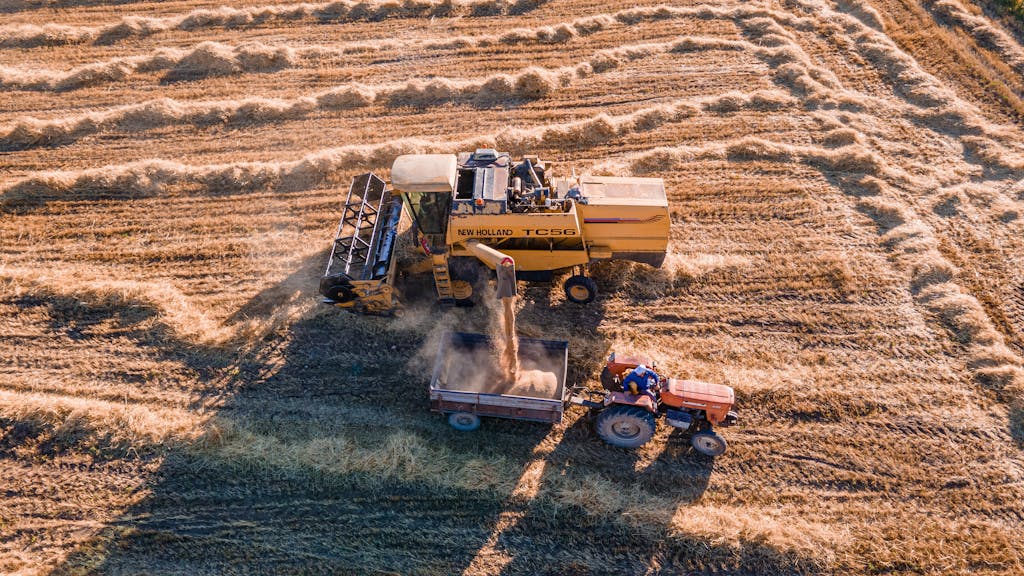 Combine harvester and tractor working in Çeltikçi, Türkiye wheat field under sun.